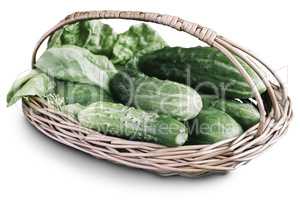 Basket with cucumbers on a white background.