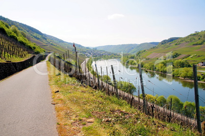 Moseltal mit Burg