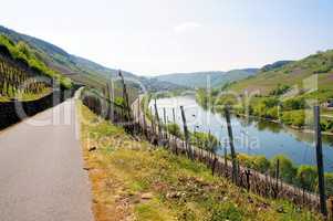 Moseltal mit Burg