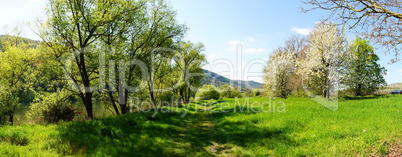 Frühlingslandschaft Panorama