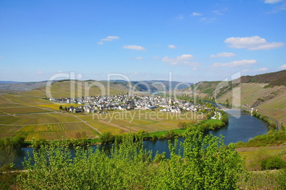 Trittenheim an der Mosel