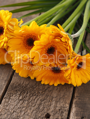 Bunch of yellow daisies