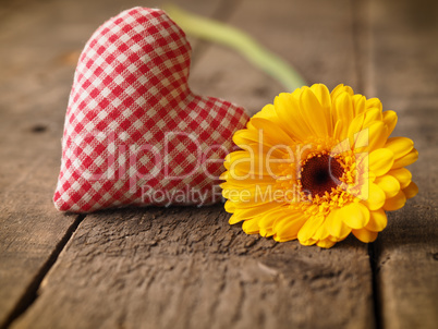 Yellow gerbera daisy with a checkered fabric heart shape