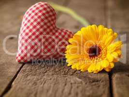 Yellow gerbera daisy with a checkered fabric heart shape