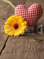 Yellow gerbera daisy with fabric heart shape