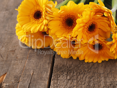 Bunch of yellow daisies