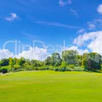 Park, green meadow and blue sky.
