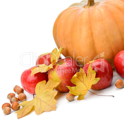 Pumpkin, apples and hazel isolated on white background.
