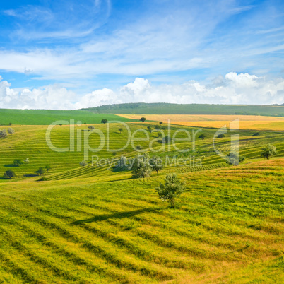 Green field and blue sky. Picturesque hills formed by an old riv