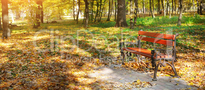 Beautiful autumn park with paths and bench. Wide photo.