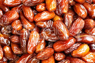 Date palm background.