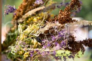 design bouquet of dried flowers in interior, clouseup