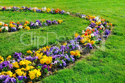 Summer flower bed and green lawn.