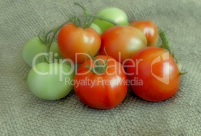 Ripe and green tomatoes on a linen fabric