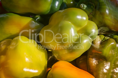 Large yellow ripe pepper.