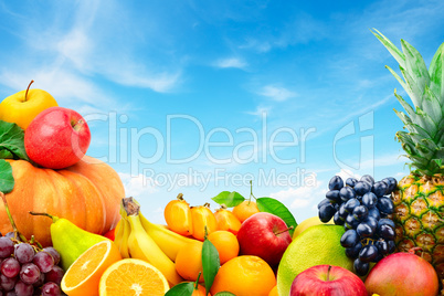 Large collection of fruits and vegetables on a blue sky backgrou