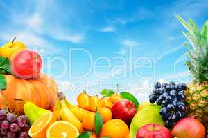 Large collection of fruits and vegetables on a blue sky backgrou