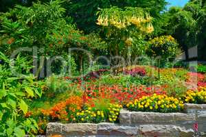 Colorful blooming flower bed at summer park