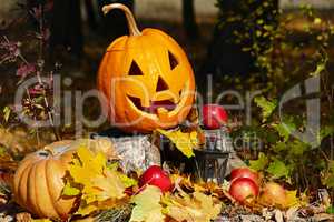 Halloween pumpkin on a stump in autumn forest.