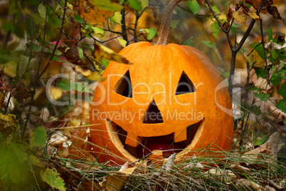 Halloween pumpkin on fallen autumn leaves with smile on his face