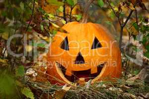 Halloween pumpkin on fallen autumn leaves with smile on his face