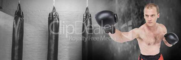 Boxer man with punching bags in gym