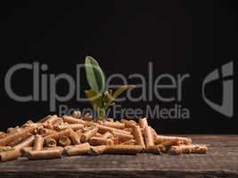 Alternative energy, growing plant, wooden pellets