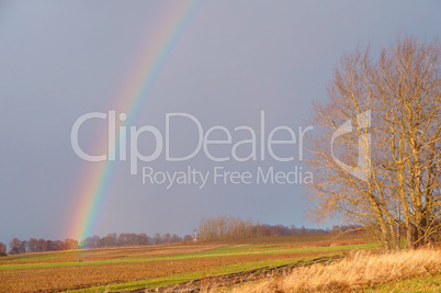 rainbow in a field, the atmosphere is rainbow after the rain