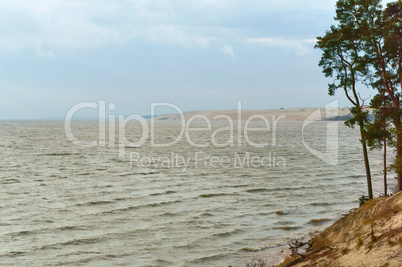 the coastline, pine trees on the waterfront, sandy soil and dry grass on the coast