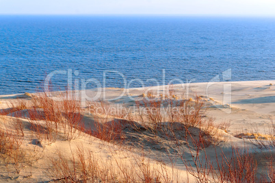 sand dune, the sand and the grass on the hilly shore of the sea