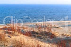 sand dune, the sand and the grass on the hilly shore of the sea