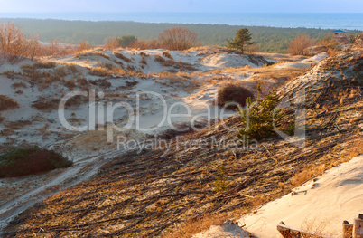 sand dune, the sand and the grass on the hilly shore of the sea