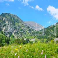 Picturesque mountain landscape,meadow, hiking trail and beautifu