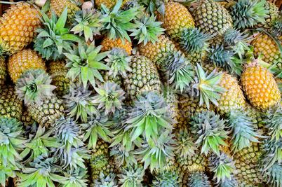 Bright background of fresh juicy pineapples.