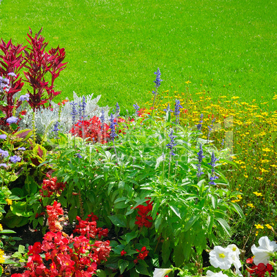 Summer flowerbed and green lawn.