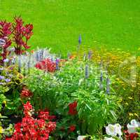 Summer flowerbed and green lawn.