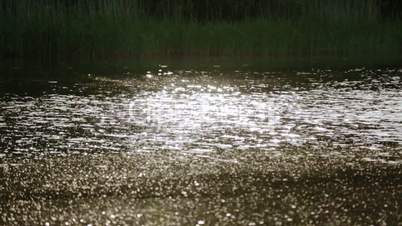 River in the sun. Background.