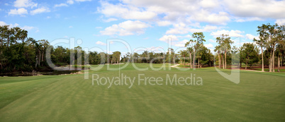 Lush green grass on a golf course