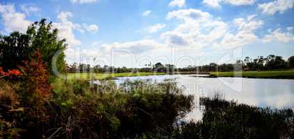 Pond and Lush green grass on a golf course