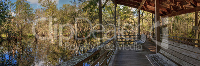 Bench on a boardwalk overlooks wetlands in the Corkscrew Swamp