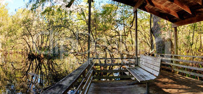 Bench on a boardwalk overlooks wetlands in the Corkscrew Swamp