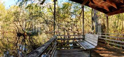 Bench on a boardwalk overlooks wetlands in the Corkscrew Swamp
