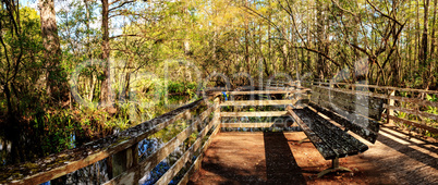 Bench on a boardwalk overlooks wetlands in the Corkscrew Swamp