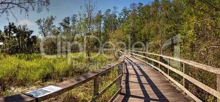 Boardwalk path at Corkscrew Swamp Sanctuary in Naples