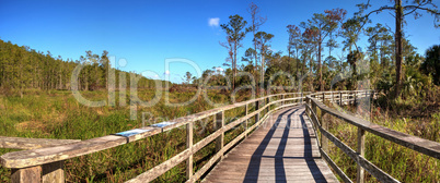 Boardwalk path at Corkscrew Swamp Sanctuary in Naples
