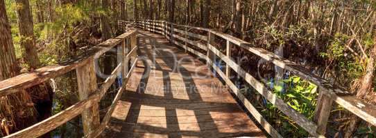 Boardwalk path at Corkscrew Swamp Sanctuary in Naples