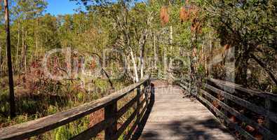 Boardwalk path at Corkscrew Swamp Sanctuary in Naples