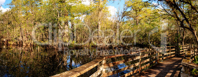 Boardwalk path at Corkscrew Swamp Sanctuary in Naples