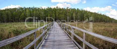 Boardwalk path at Corkscrew Swamp Sanctuary in Naples, Florida