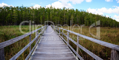 Boardwalk path at Corkscrew Swamp Sanctuary in Naples, Florida